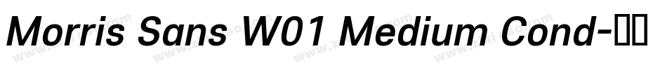 Morris Sans W01 Medium Cond字体转换